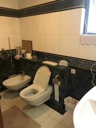 The Legend (D10), Condominium #168727012